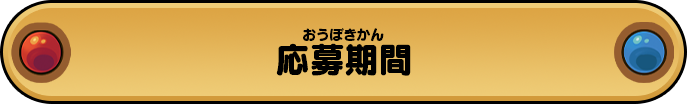 応募期間
